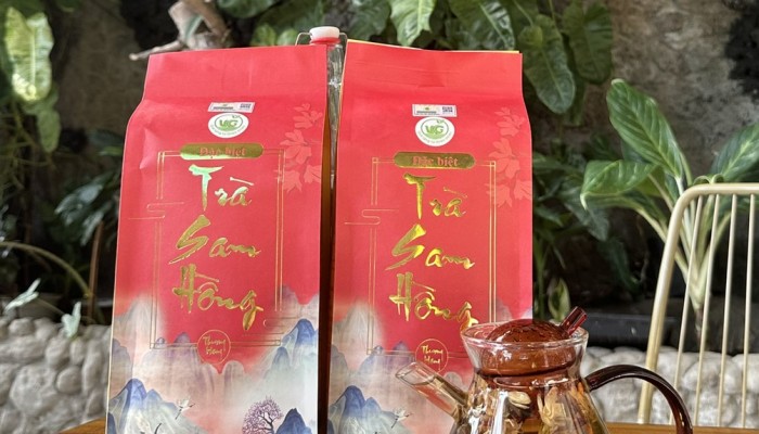 NGƯỜI LỚN TUỔI, NGƯỜI HAY KHÓ NGỦ – ĐỪNG LO, ĐÃ CÓ TRÀ SAM HỒNG! 