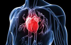 6 thói quen giúp tăng cường sức khỏe tim mạch